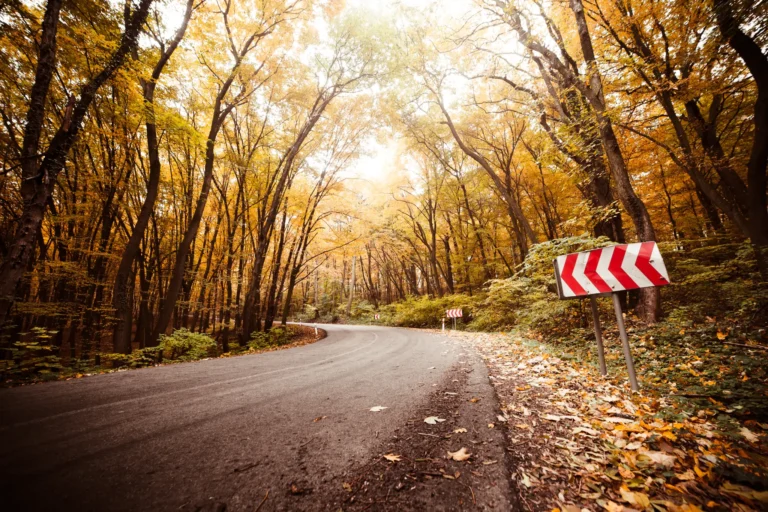 Landstraße im Herbst