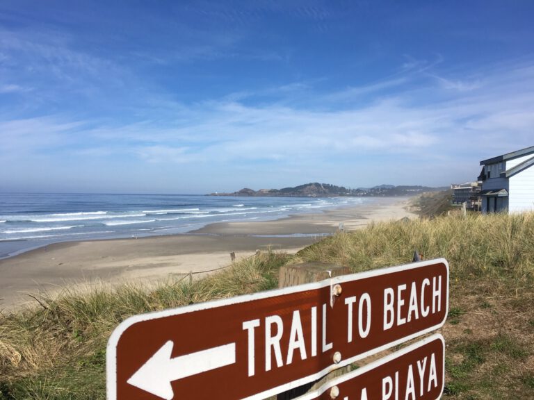 trail to beach foto