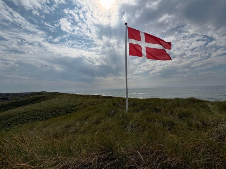 Meer Düne Flagge Dänemark